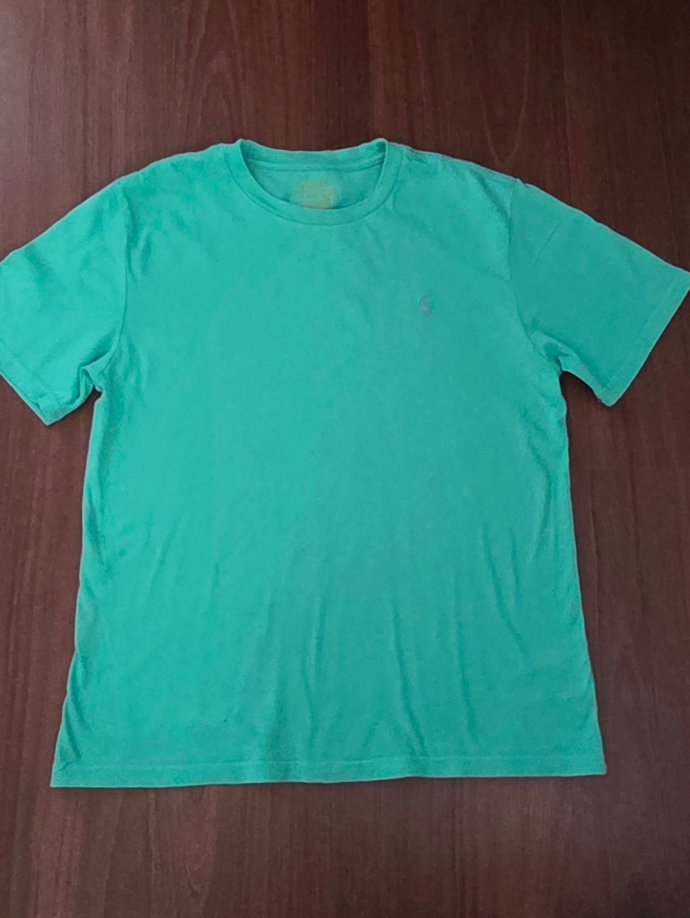 Polo by Ralph Lauren Boy's Crew Neck T-Shirt in Light Green with Blue Logo
